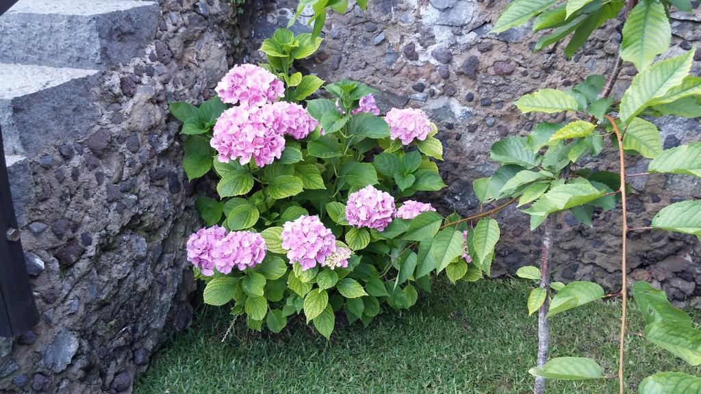 Etma Bed & Breakfast Sant'Alfio Exterior photo