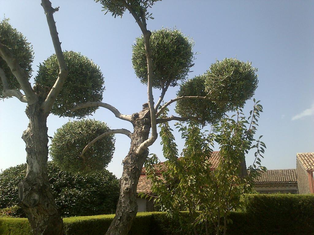Etma Bed & Breakfast Sant'Alfio Exterior photo