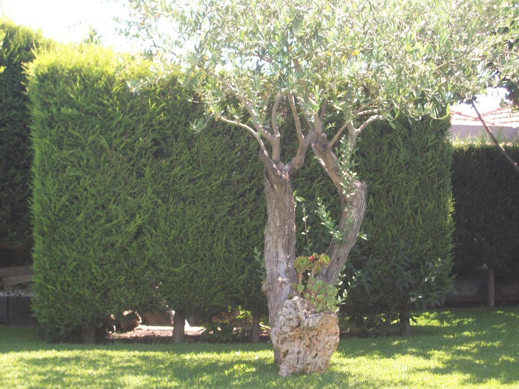 Etma Bed & Breakfast Sant'Alfio Exterior photo
